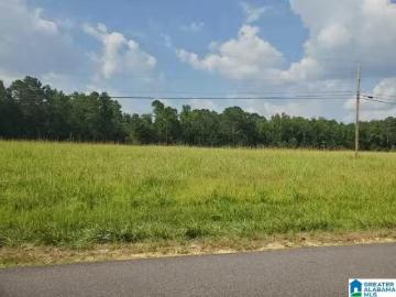 440 FOX VALLEY FARMS RD # 4, MAYLENE, AL 35114
