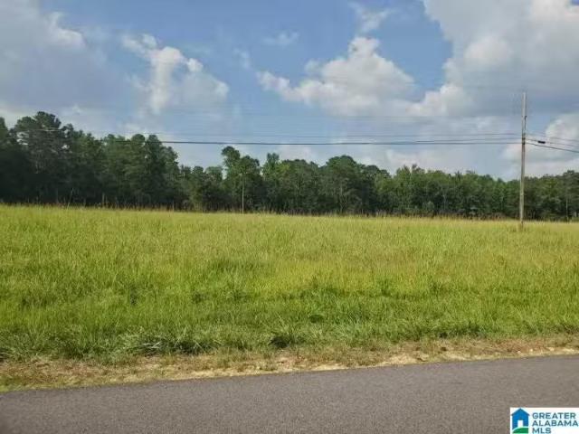440 FOX VALLEY FARMS RD # 4, MAYLENE, AL 35114