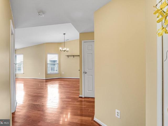 44118 Natalie Terrace # 302
