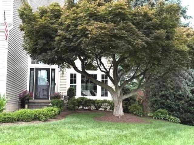 44120 Merrywood Court