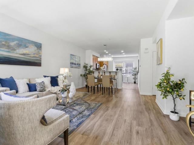 441 Casselino Drive