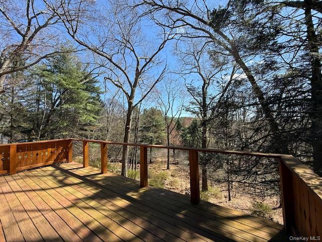 441 Hollow Rd, Glen Spey, NY 12737 | MLS #983599