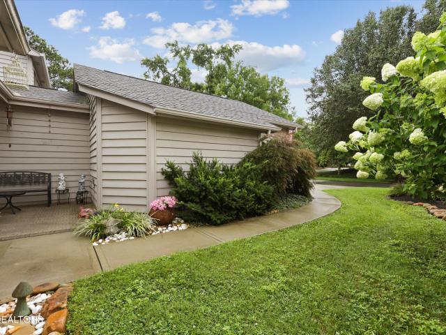 441 Lost Tree Lane