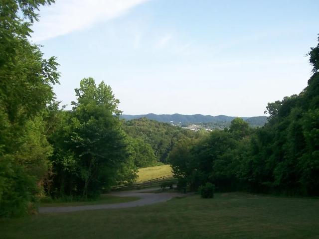 441 Lewallen Hollow Ln