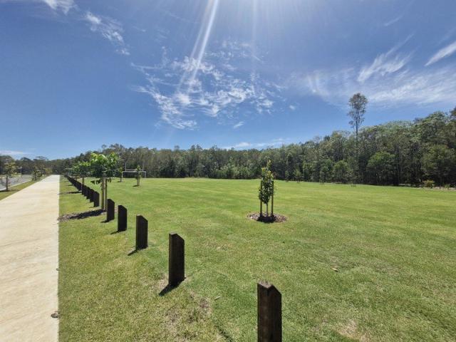 Vacant 441m2 Premium Allotment