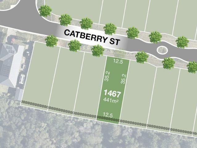 441m2 Premium Allotment