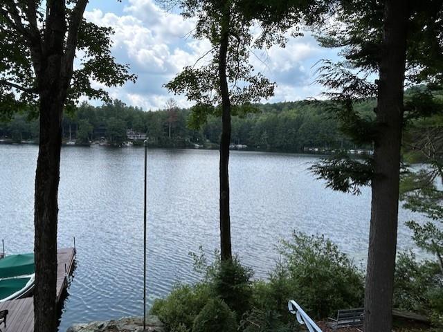 442 Jobs Creek Rd, Sunapee, NH 03782 | MLS #5097