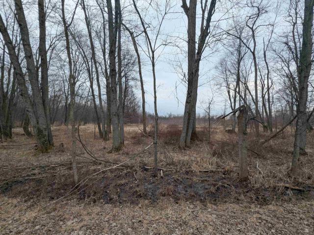 4438 Reynolds Road