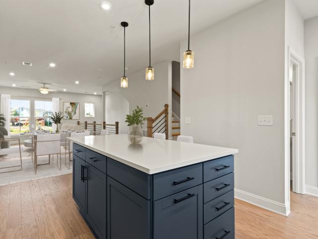 443 Lookout Lane
