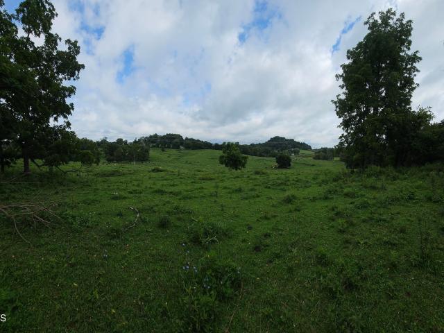 444 Bullock Hollow Road