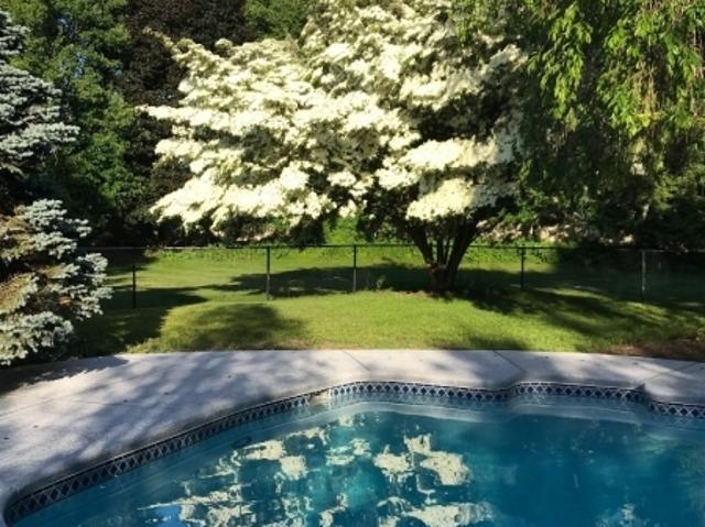 447 Rockaway Valley Rd
