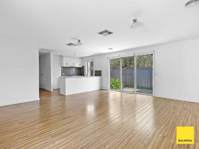4/48 Panton Street