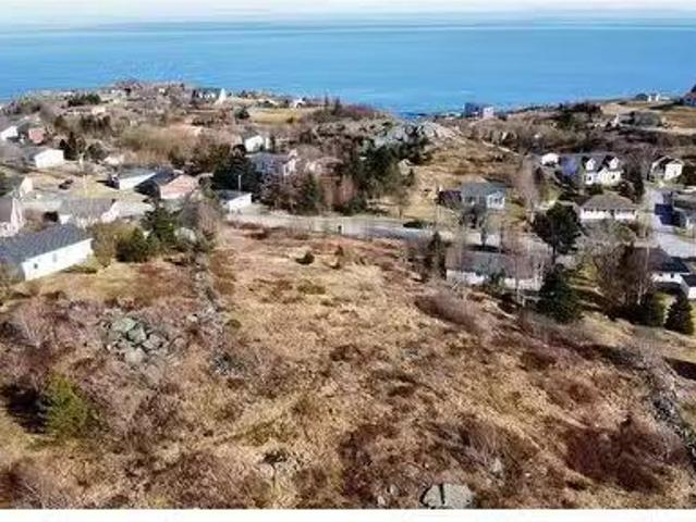 44 48 Back Road, Upper Island Cove, NL, A0A 4E0 vacant land.