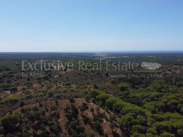 44,00 Ha Melides C/ Casa