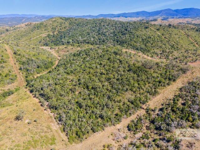 44.22 Hectares, Elevated Views, Dam, Lifestyle & Grazing Potential