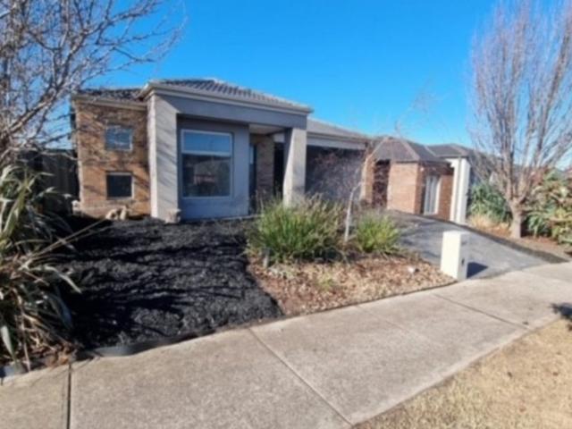 44 Chicory Street Mernda, VIC 3754