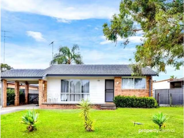44 Harris Street, JAMISONTOWN House for rent Listed by Natia.