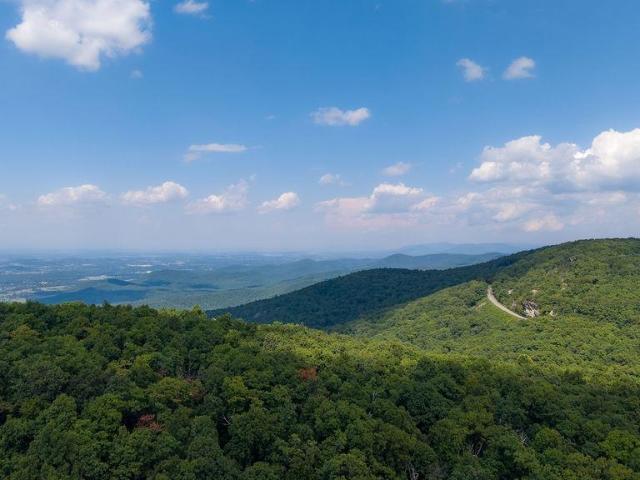 44 lady slipper ln