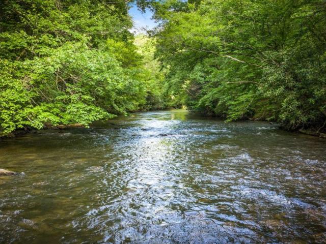 44 Magnolia Trail