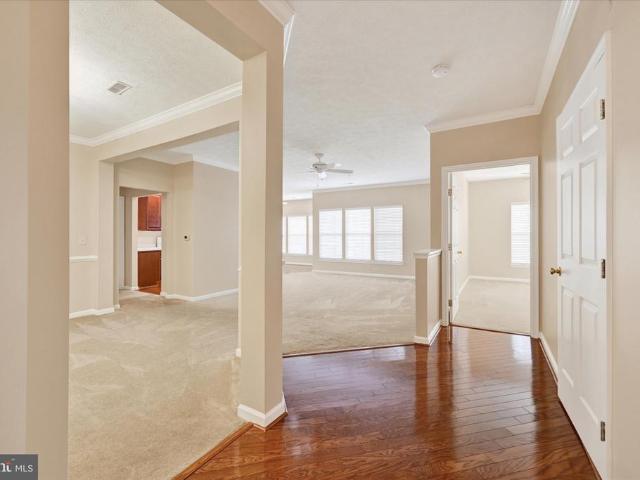 4501 K Dunton Terrace # 8501K