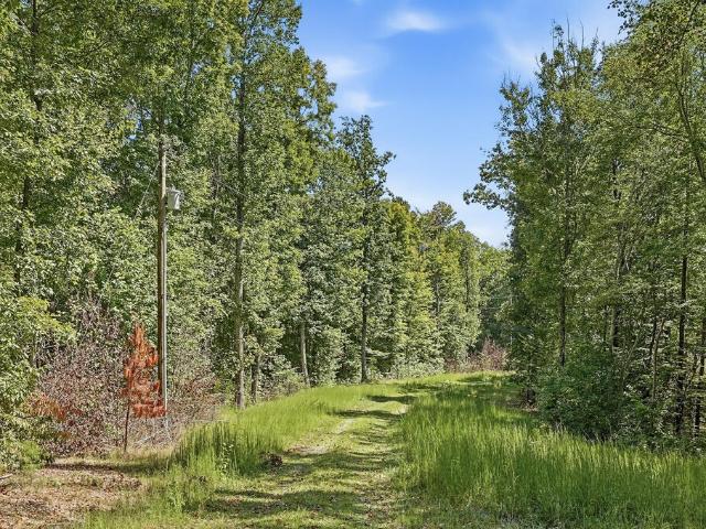 450 Pleasant Hill Cemetery Lane