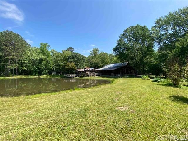 451 Palmetto Loop