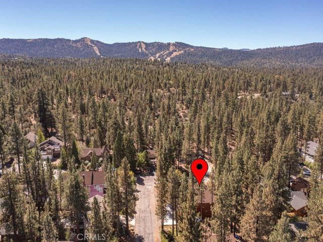 451 Pineview