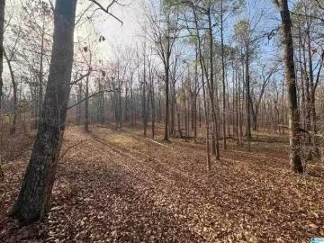 4540 CABIN RD # 4, BESSEMER, AL 35022