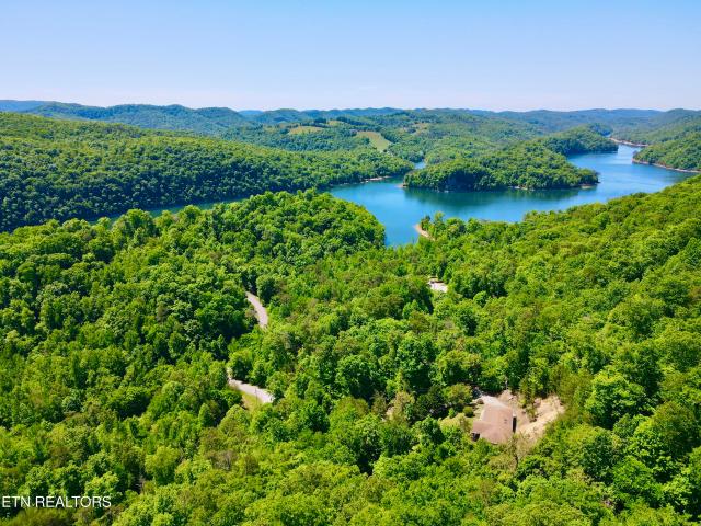 454 Wildcat Hollow Rd