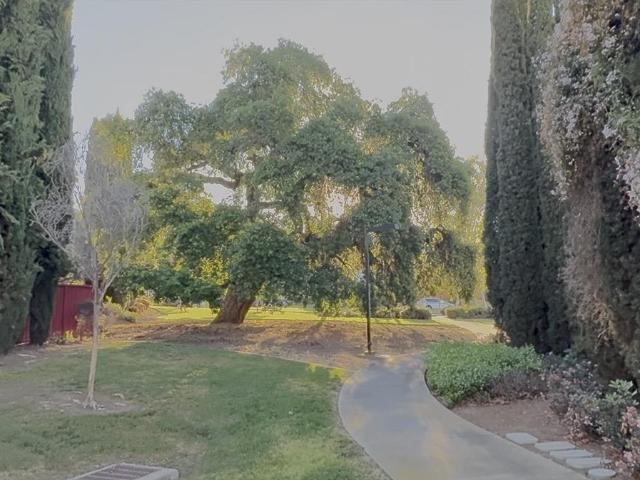 4562 Encanto Way