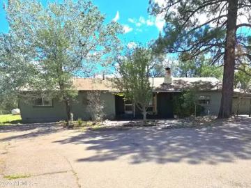 45985 N AZ HIGHWAY 288, YOUNG, AZ 85554