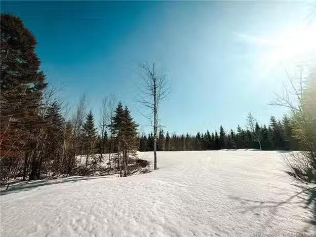 459 Chemin Village Des Cormiers, Saint Paul, NB, E4T 3G7 vac.