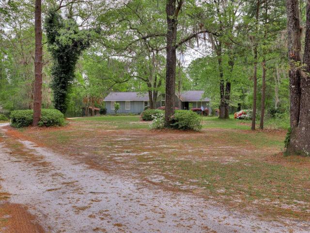 45 Daisy Lane