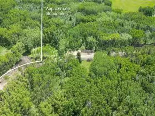 45 Elkstone Way, Rural Rocky View County, AB, T4C 2Y8 vacant.