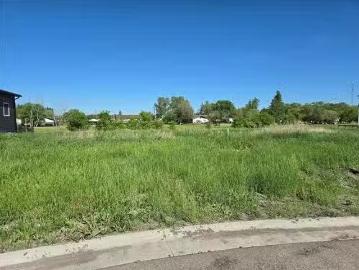 45 Falcon Bay, Ste Anne, MB, R5H 0A1 vacant land for sale L.