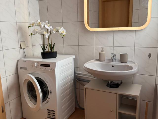 45 m² Apartment in Mainz with 1 doublebed or Twin Beds, Walk in Closet & Kitchenette