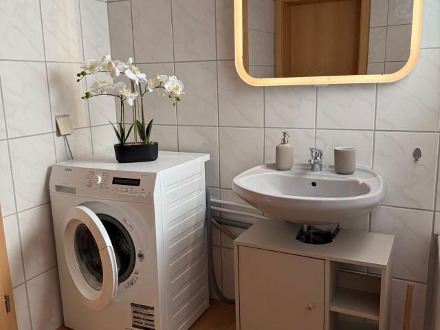 45 m² Apartment in Mainz with 1 doublebed or Twin Beds, Walk in Closet & Kitchenette, Mainz Amsterdam Apartments for Rent