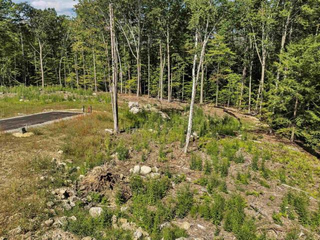 45 Stern Castle Place #32, Laconia, US, NH