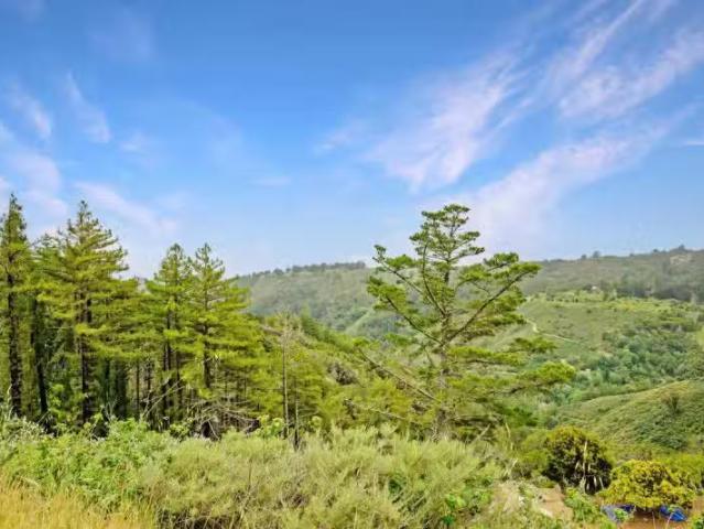 46190 PFEIFFER RIDGE RD, BIG SUR, CA 93920