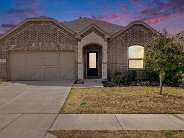 4619 Cleves Ave, Aubrey, TX 76227 | MLS #11566