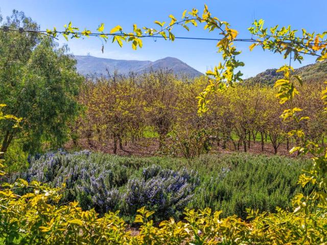 4620 Casitas Pass Rd, Ventura, CA 93001 | MLS #V1 29098