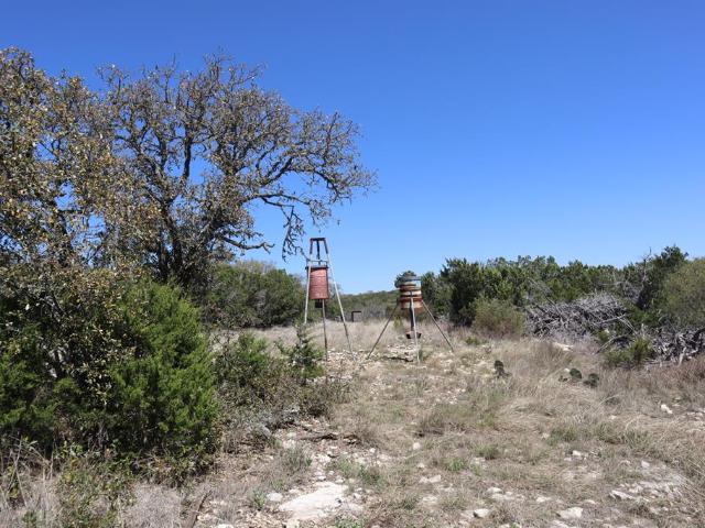 462 Schenk Witkowski Rd, Rocksprings, TX 78880 | MLS #123856