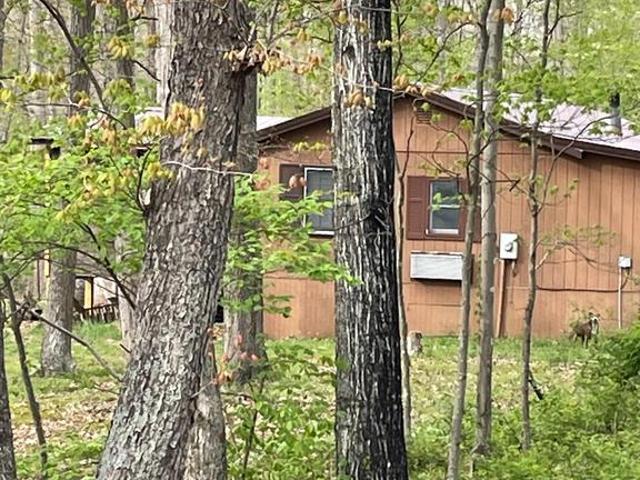 462 Trout Stream Road