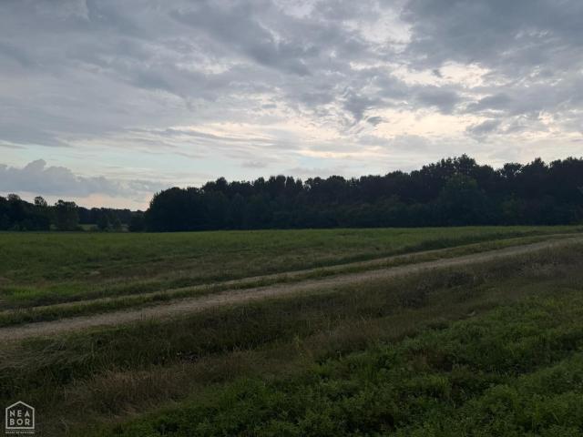463 County Road 352