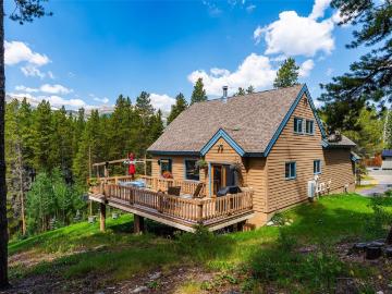 463 Blue Flag Cir, Breckenridge, CO 80424 | MLS #S1069