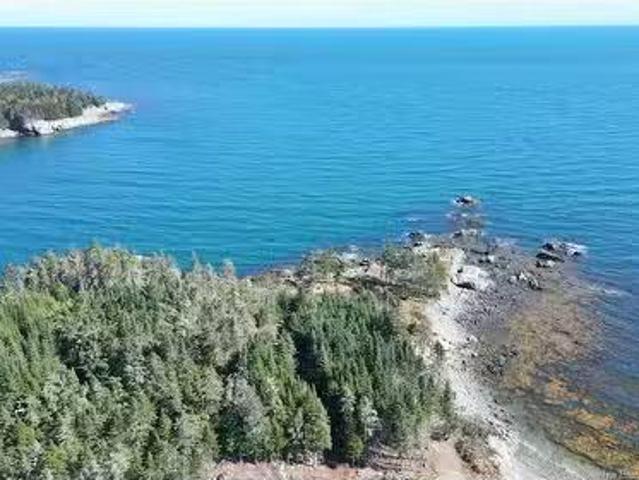 463 White Head Rd, Grand Manan, NB, E5G 2K1 vacant land for.