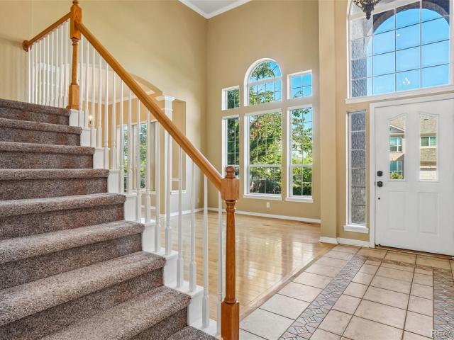 465 Whitetail Circle