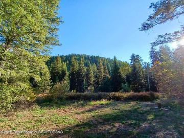 466 Willow Crk Cyn Rd, Bedford, WY 83112 | MLS #25 334