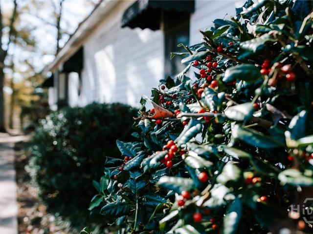 467 Elberton Road
