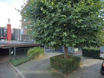 Hunnerberg, Nijmegen-Oost, Nijmegen, Gelderland